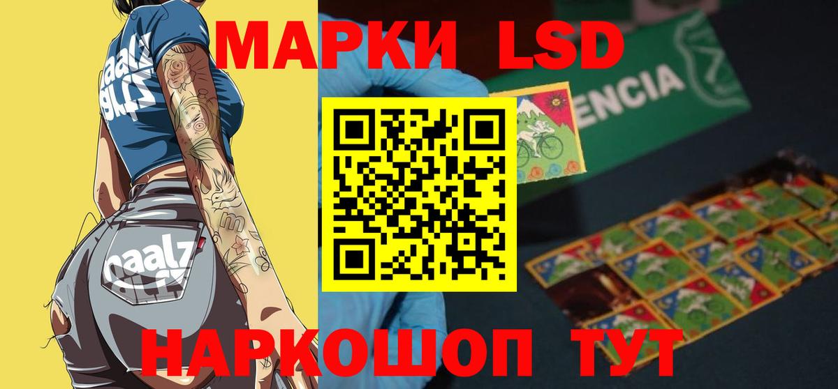 Галлюциногенные грибы Калуга