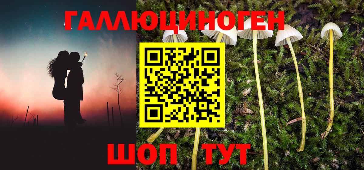Калуга  Галлюциногенные грибы прущие грибы  продажа наркотиков  Вход с VPN 