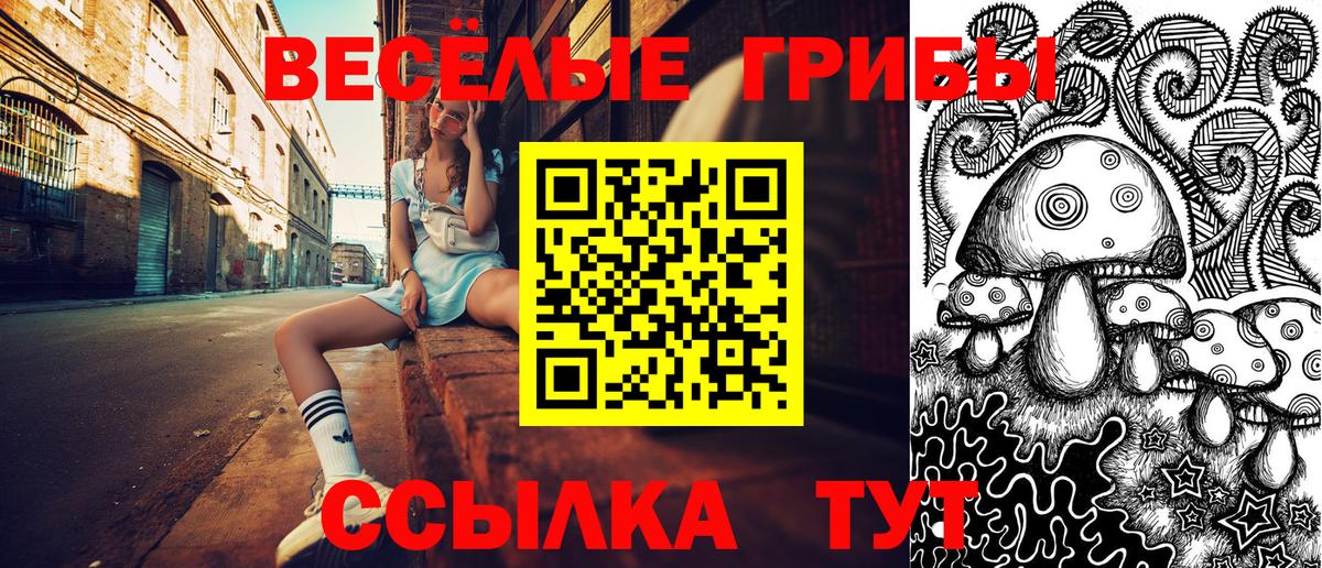 Галлюциногенные грибы Psilocybine cubensis Калуга